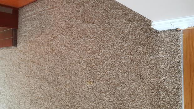 Images Carpet RX of Louisville
