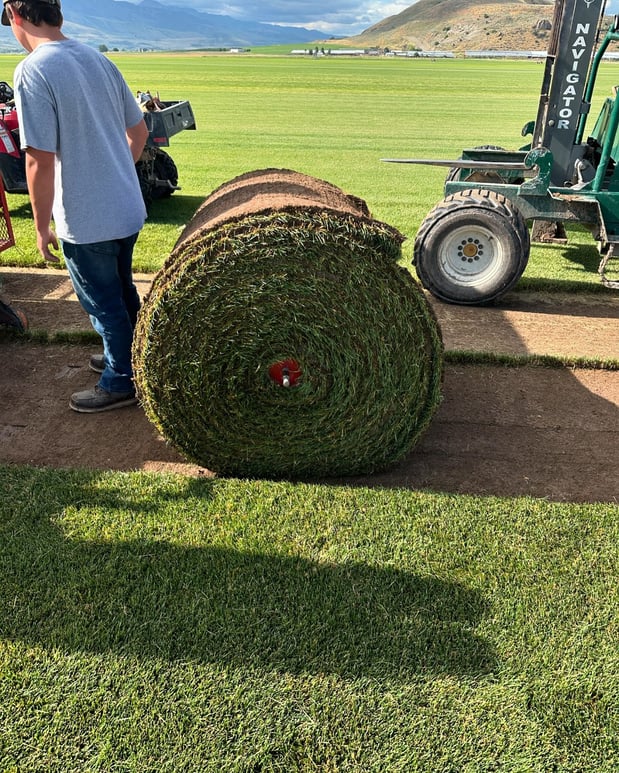 Images Hobbs Turf Farms, Inc.