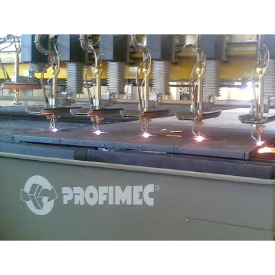 Profimec Logo