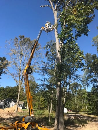 Images Jerry's Lawn & Tree Care