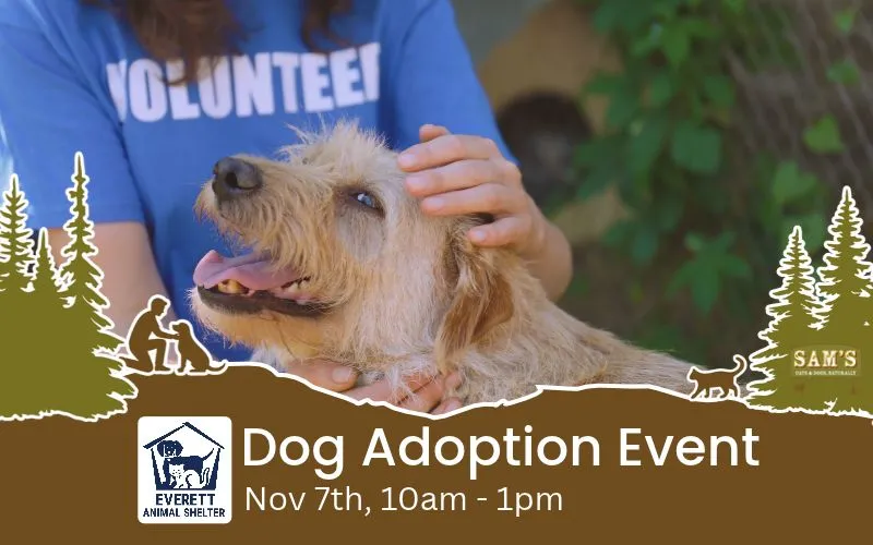Image of Local Pet Event Everett Animal Shelter Dog Adoption Event | Everett, WA Nearby