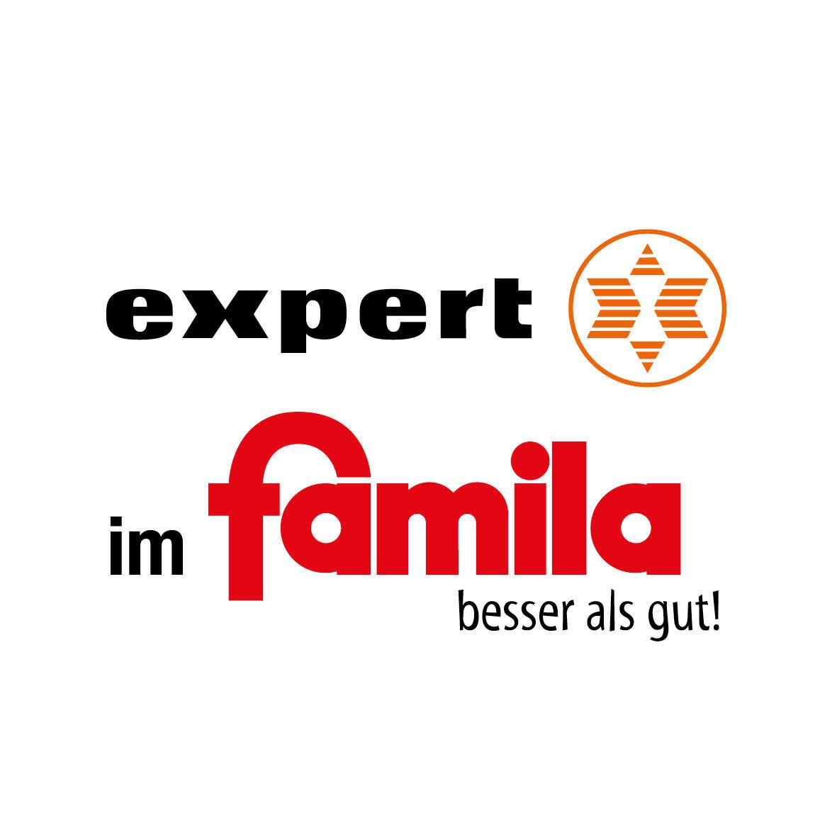 Logo expert-Logo