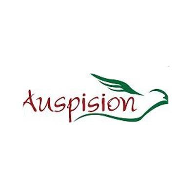 Auspision LLC Logo