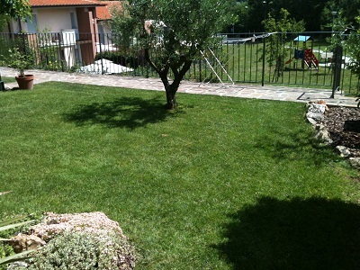 Images Agrigarden L'Olivo