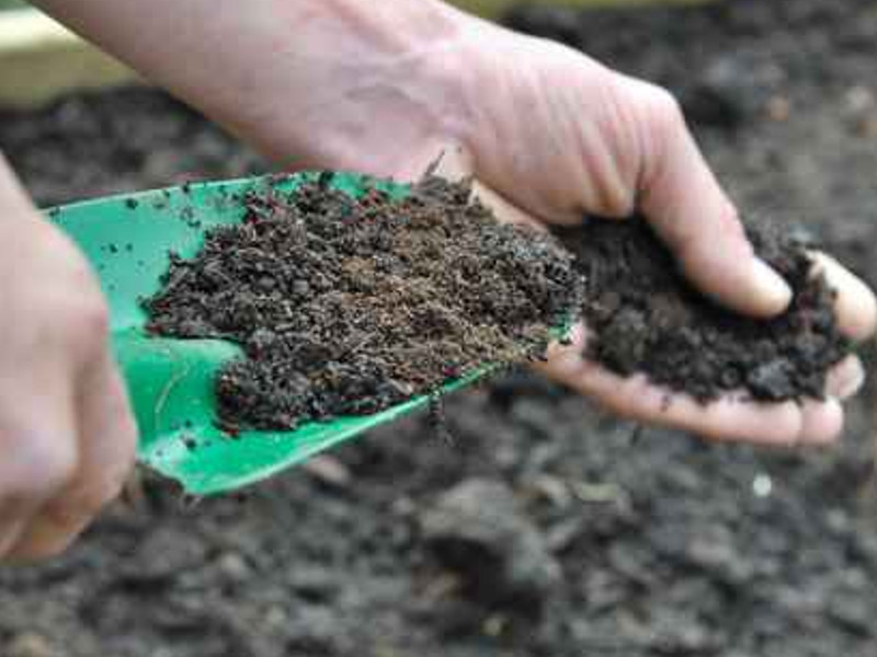 Images agri.com.