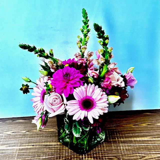Images Jane's Roses & Flowers
