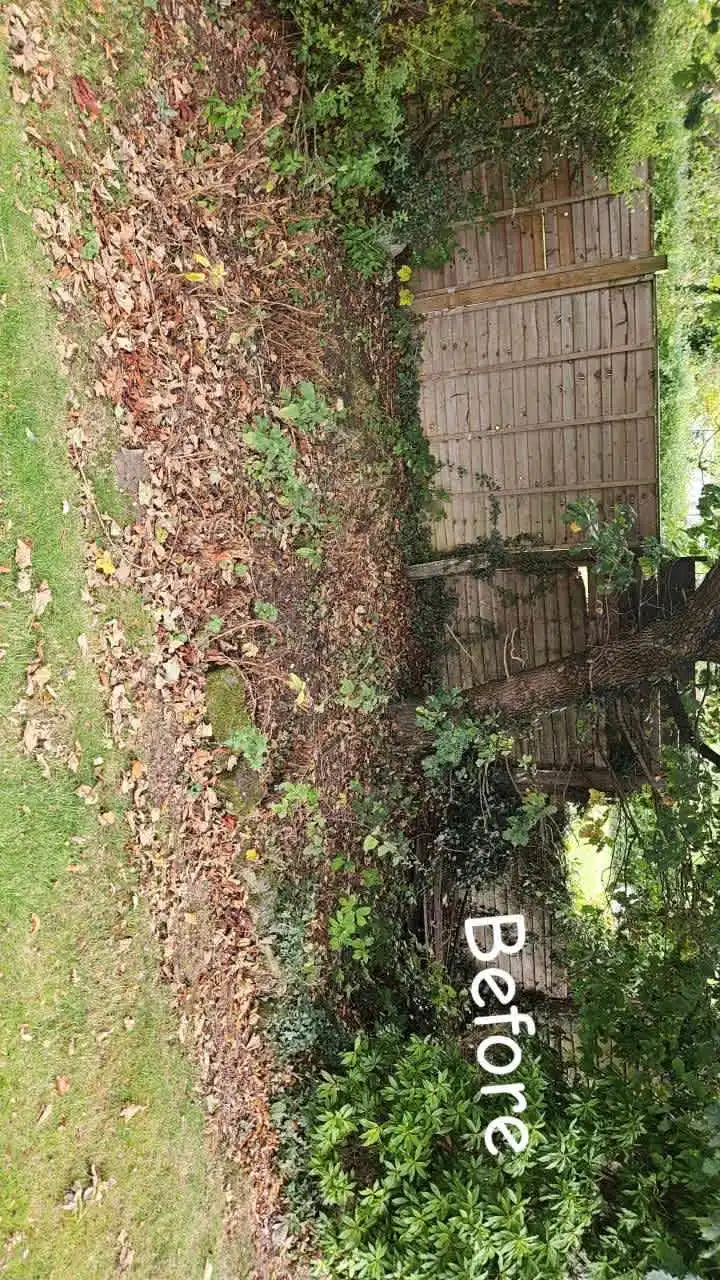 Images PG Garden Maintenance