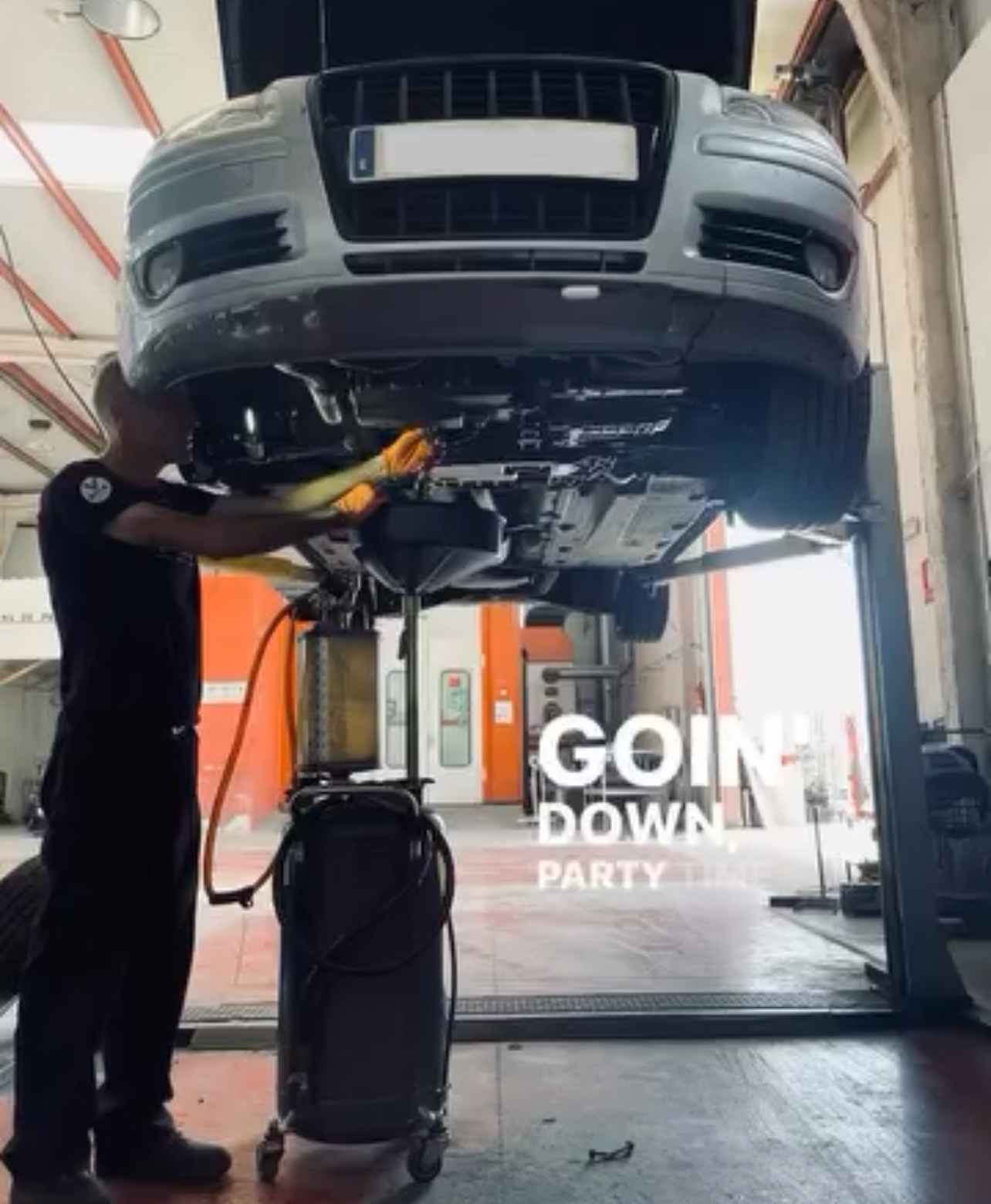 Images Piltbull Garage