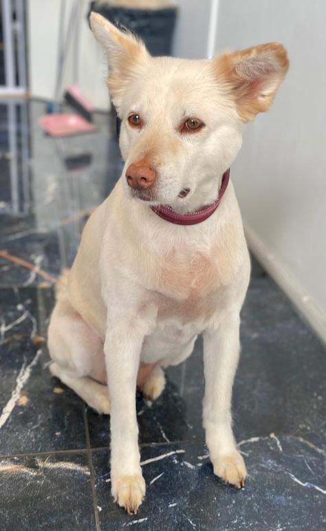 Images 4 Tassarnas Trim AB