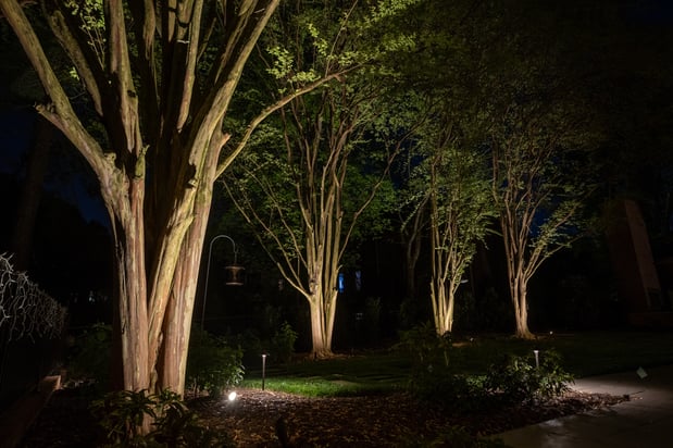 Images Limelight Landscape Lighting