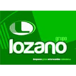 Desguaces Lozano S.L. Logo