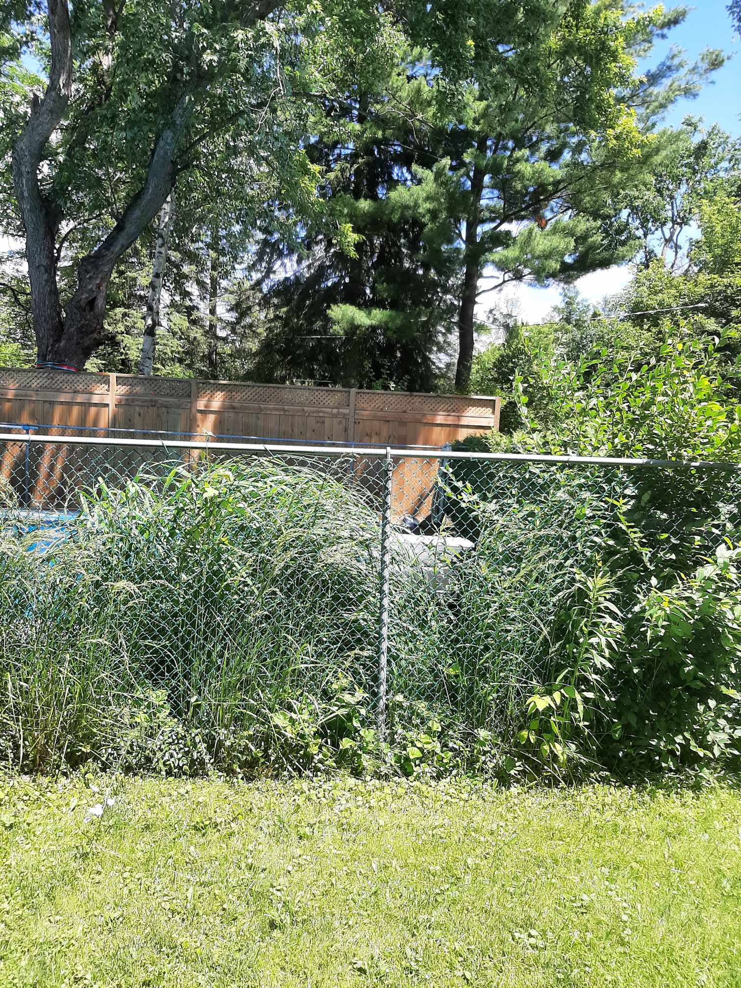 Images Rejuvenation Renovations