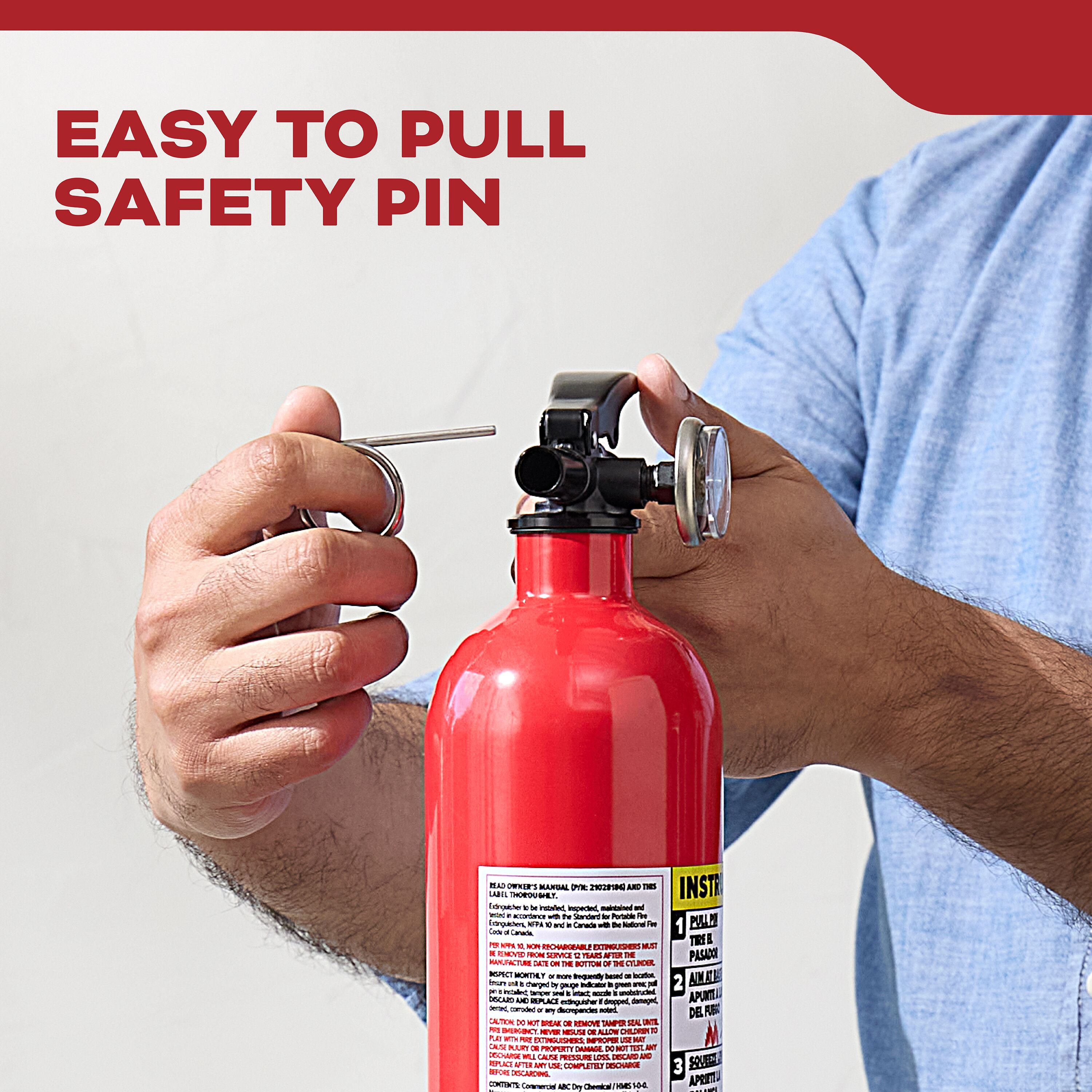Basic 110 Fire Extinguisher FA110G | Kidde