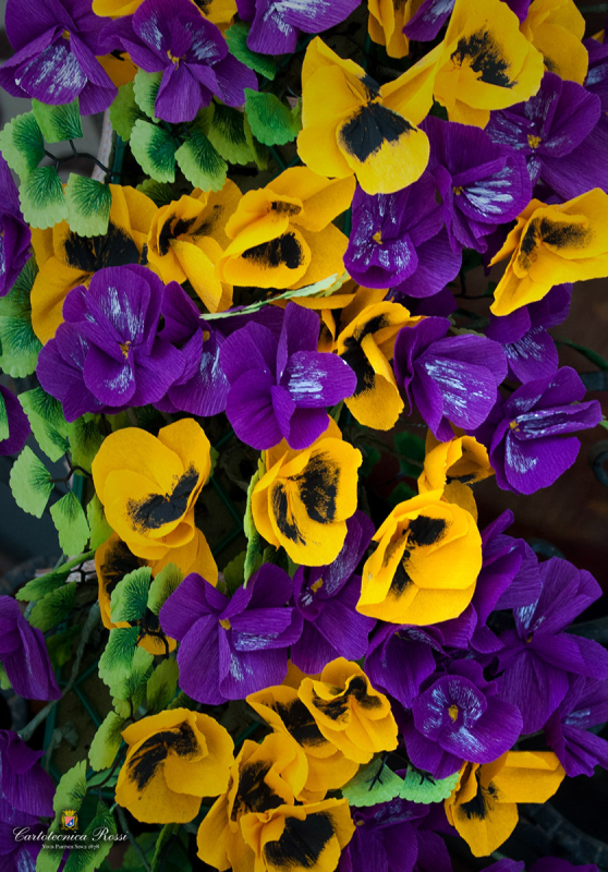 Images Cartotecnica Rossi