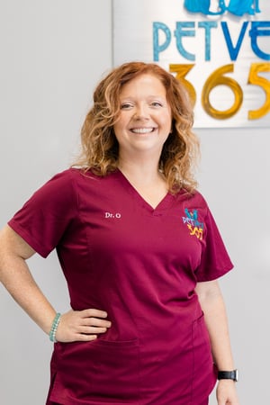 Images PetVet365 Pet Hospital Pittsburgh/Fox Chapel