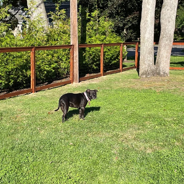Images Superior Fence & Rail