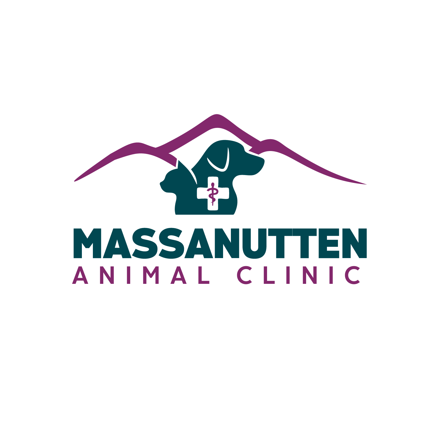 company logo