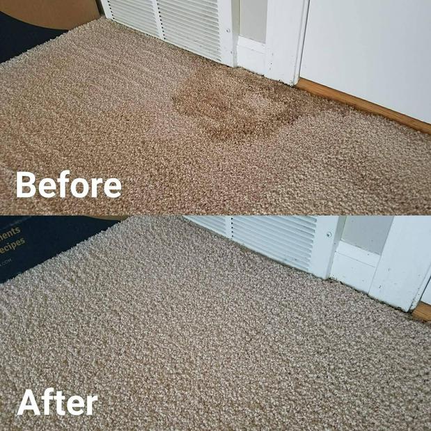 Images Indy Fiber and Surface Cleaning