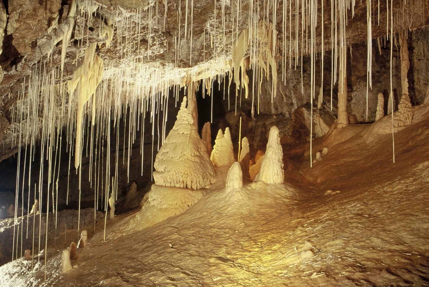Bilder Grottes de Vallorbe SA