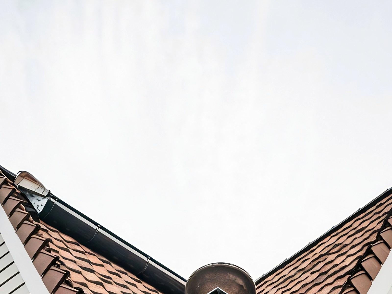 Cactus Seamless Gutters