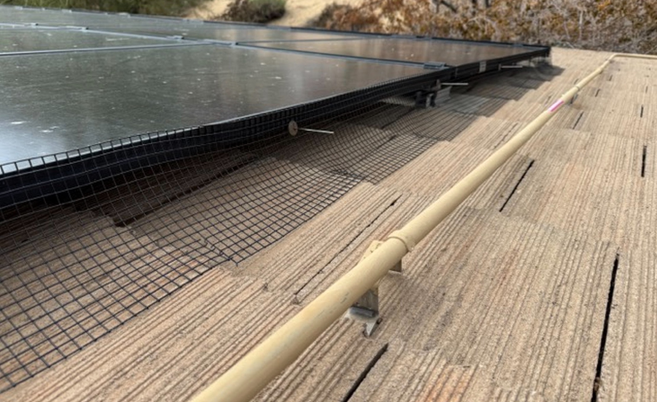 Darling Wildlife and Pest Control Services Image