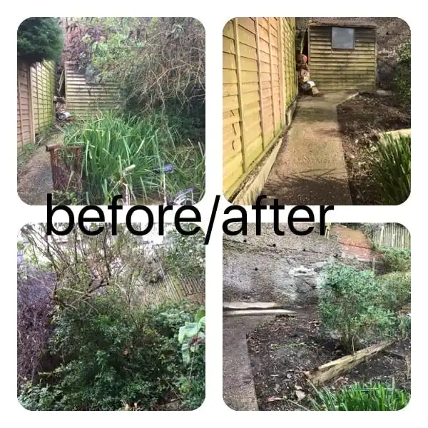 Images Prostyle Gardening & Home Services