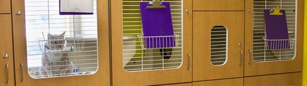 Images VCA Cherokee Animal Hospital