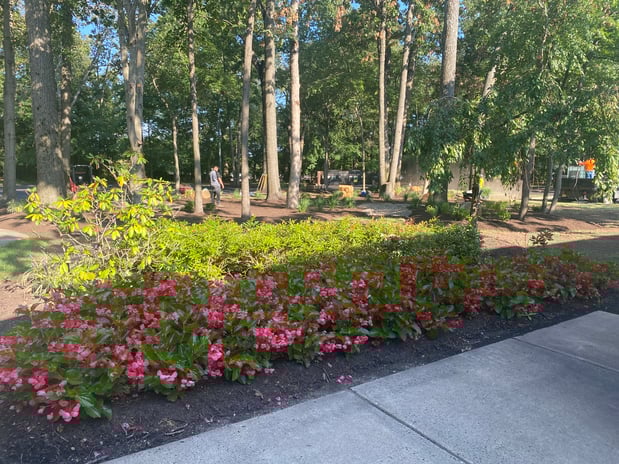 Images Justin Tree Services & Lawn Care