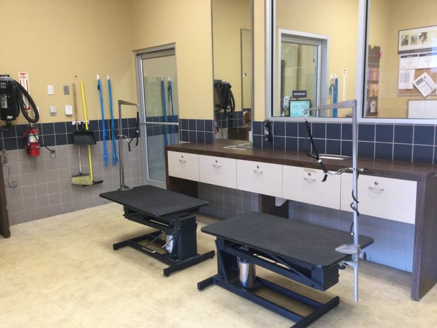 Images Petco Grooming