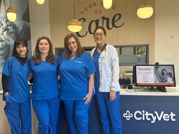 Images CityVet | Alexandria King Street