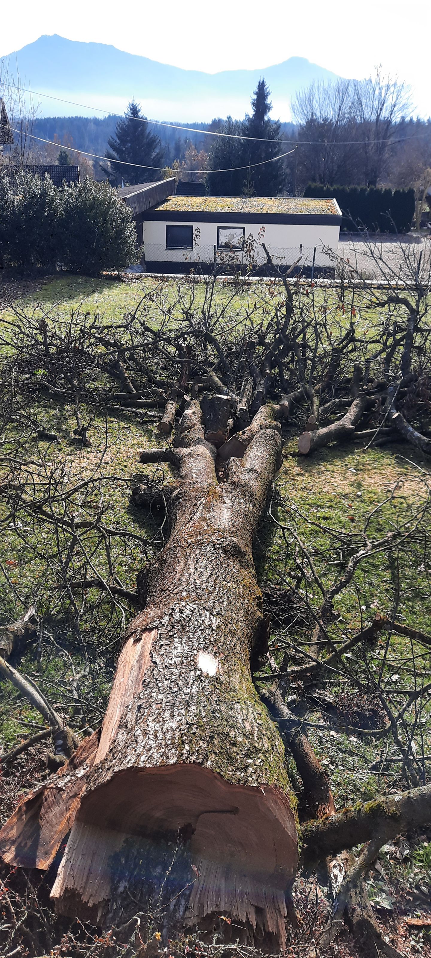 Michael Kurtz & Stefan Auer GbR Garten- und Landschaftspflege, Sankt Johannisrain 1 in Penzberg
