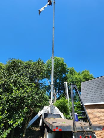 Images Broken Branch Tree Service LLC