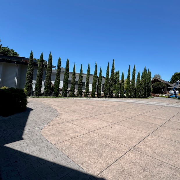 Images Alexa's Tree Service