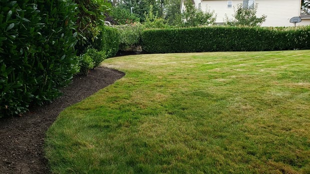 Images Real Landscaping