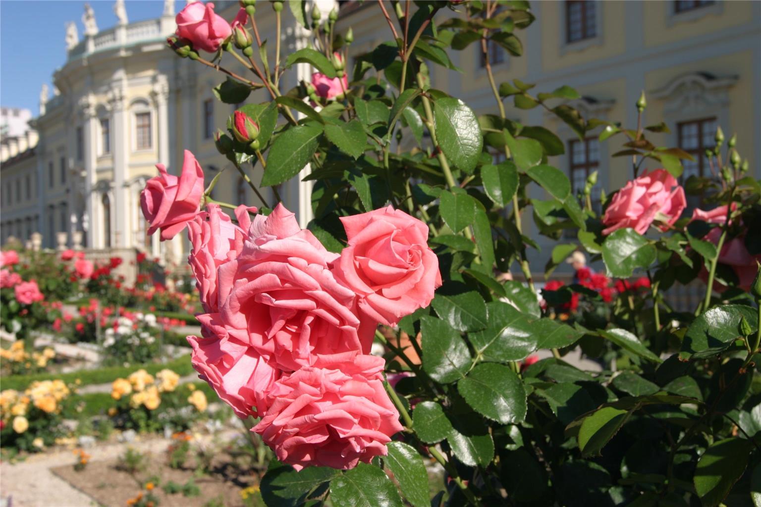 Bild 37 Best Western Hotel Favorit in Ludwigsburg