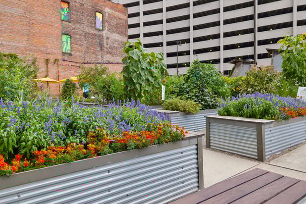 Images Hotel Indigo Detroit Downtown by IHG