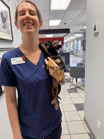 Images VCA Preston Park Animal Hospital