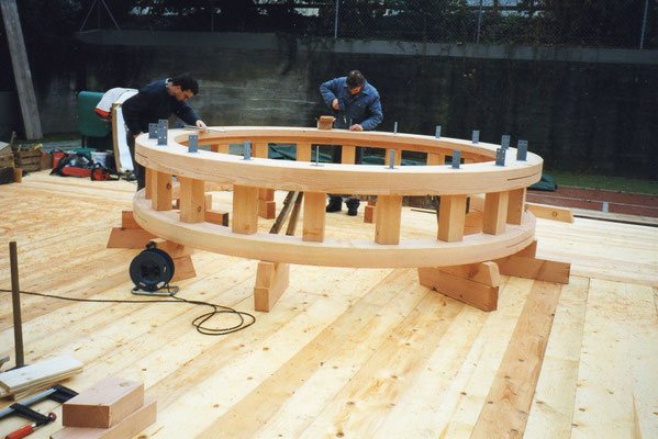 HOLZBAU PHILIPP UND WOLFGANG STALDER AG, Rigistrasse 96 in Weggis