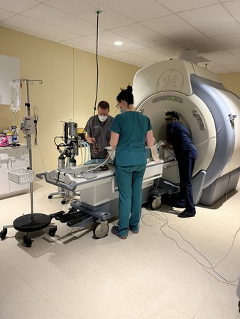 Images VCA SouthPaws Veterinary Specialists & Emergency Center