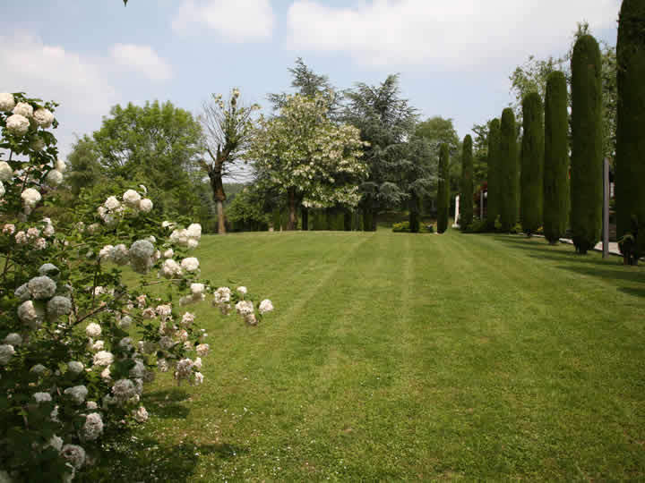 Place around image