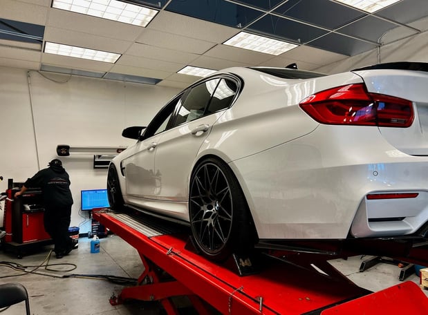 Images Loudoun County Exotics