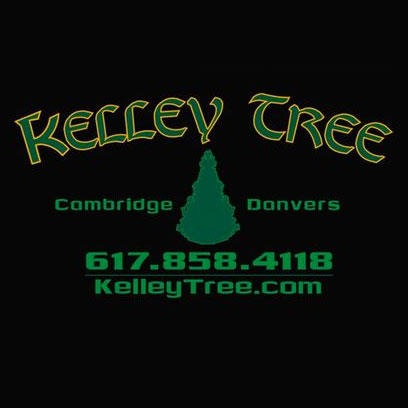 Kelley Tree Service - Beverly, MA 01915 - (617)953-5357 | ShowMeLocal.com