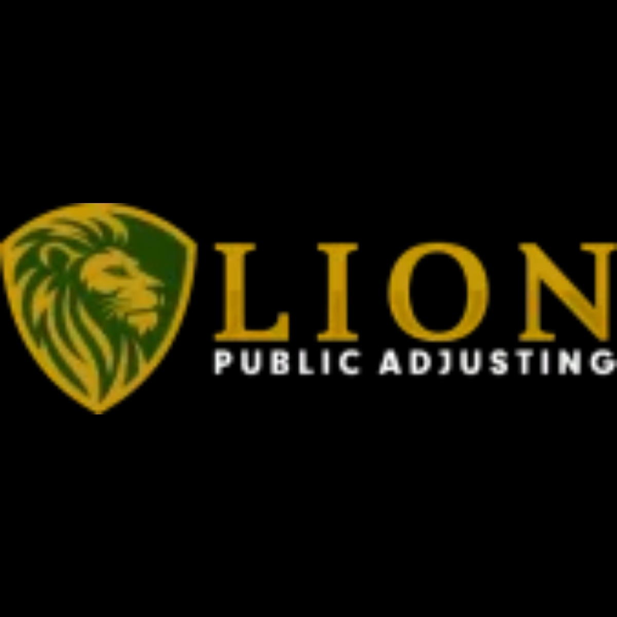 Lion Public Adjusting