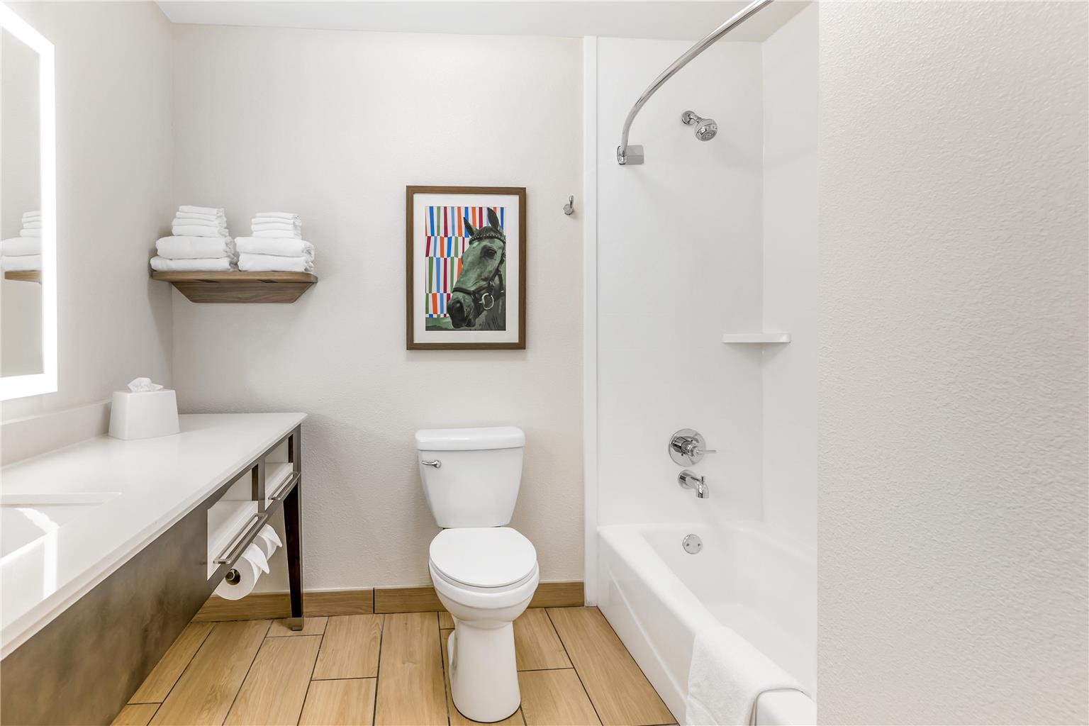 Guest room bath 