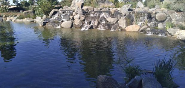 Images 5 Elements Fire & Waterscapes Inc