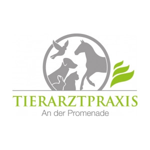 Bild zu Tierarztpraxis Dr. Annemarie Blanke GmbH in Weißenfels in Sachsen Anhalt