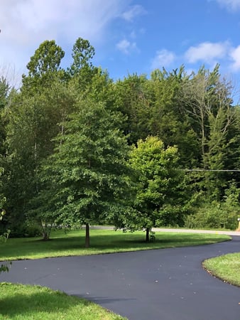 Images Lakeshore Asphalt Solutions