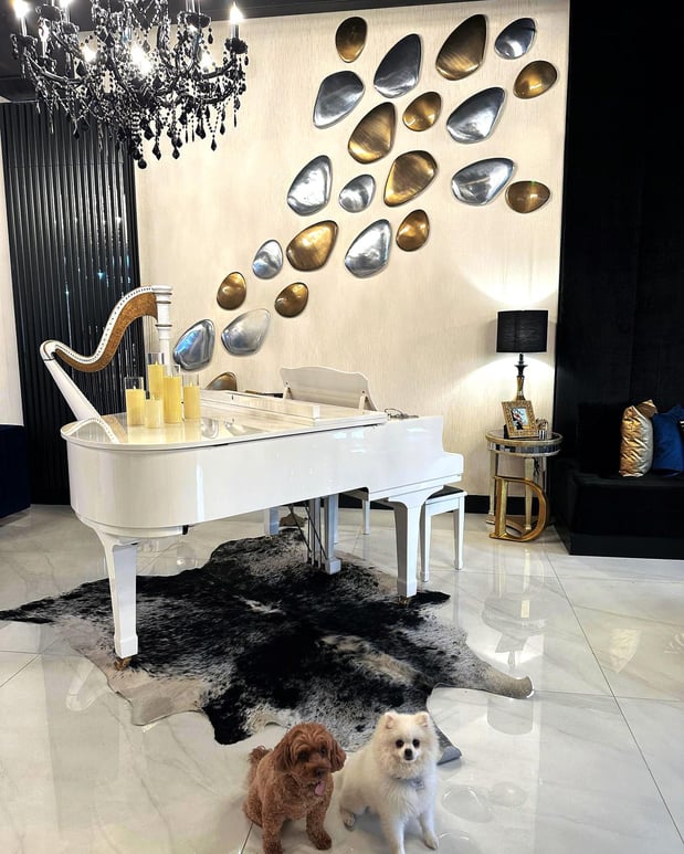 Images Lavish Interiors