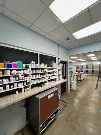 Images VCA Noah’s Place Animal Medical Center