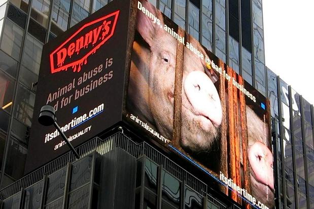 Images Animal Equality